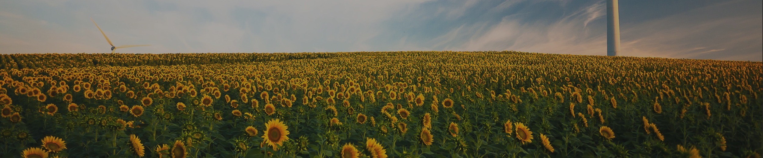 Compromiso Sostenible