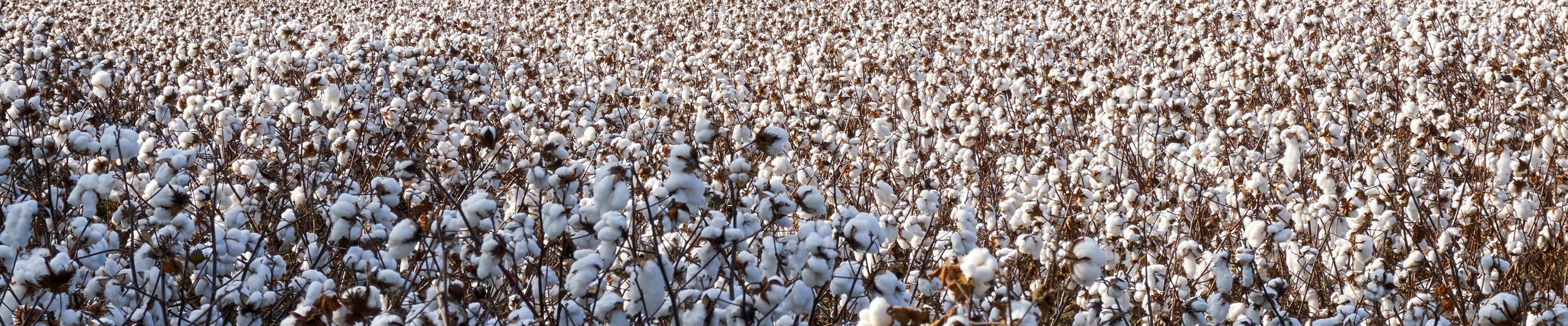 Instrukzio Orrien Gidaliburuak